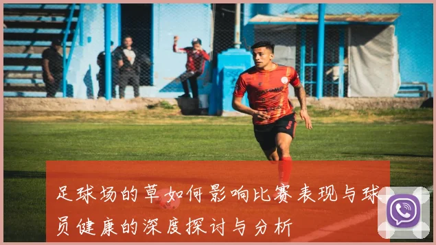 足球场的草如何影响比赛表现与球员健康的深度探讨与分析