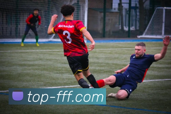 FFF体育官方网站平台生态图